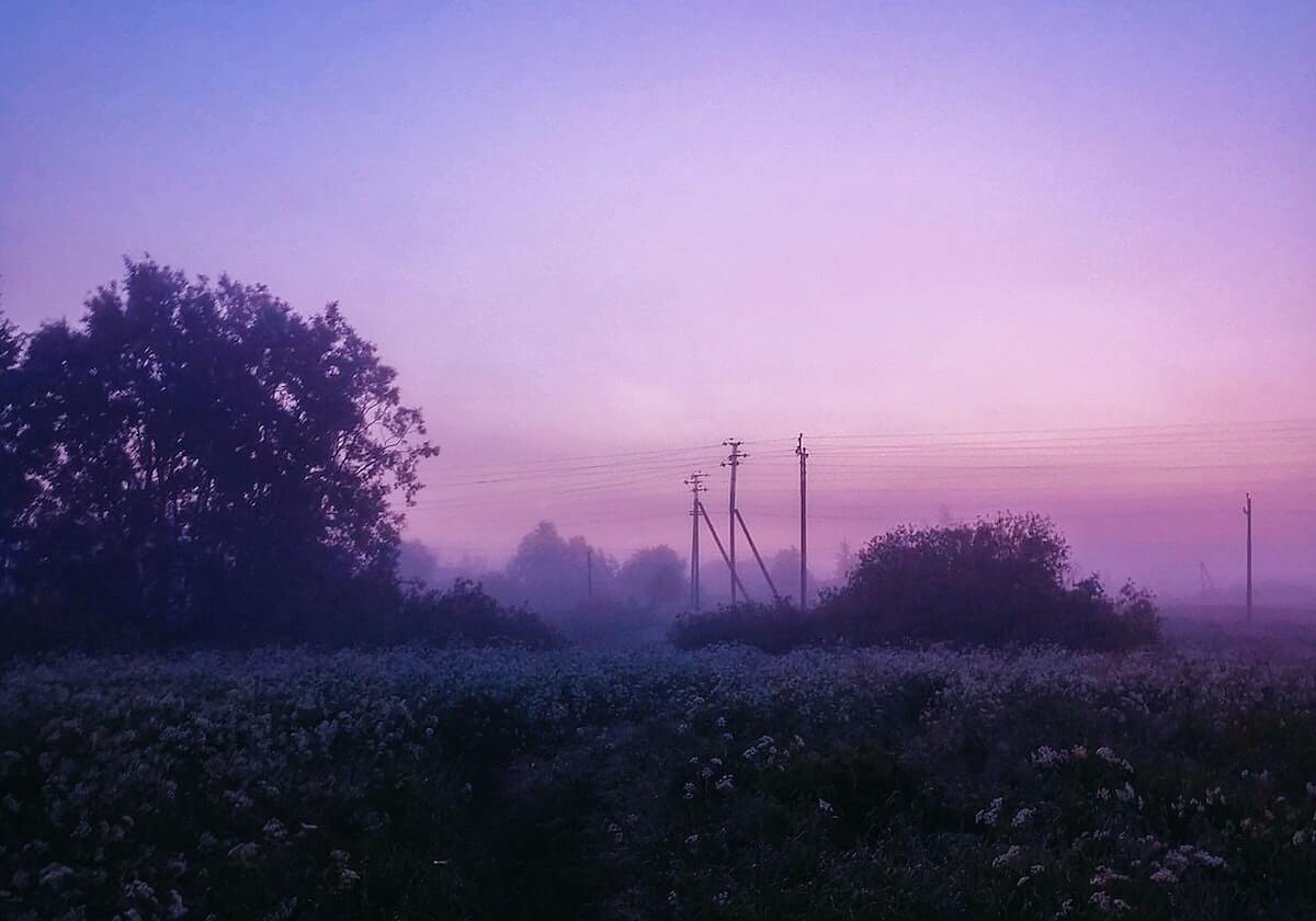必赢下载网址：开启数字生活新入口的全景解读